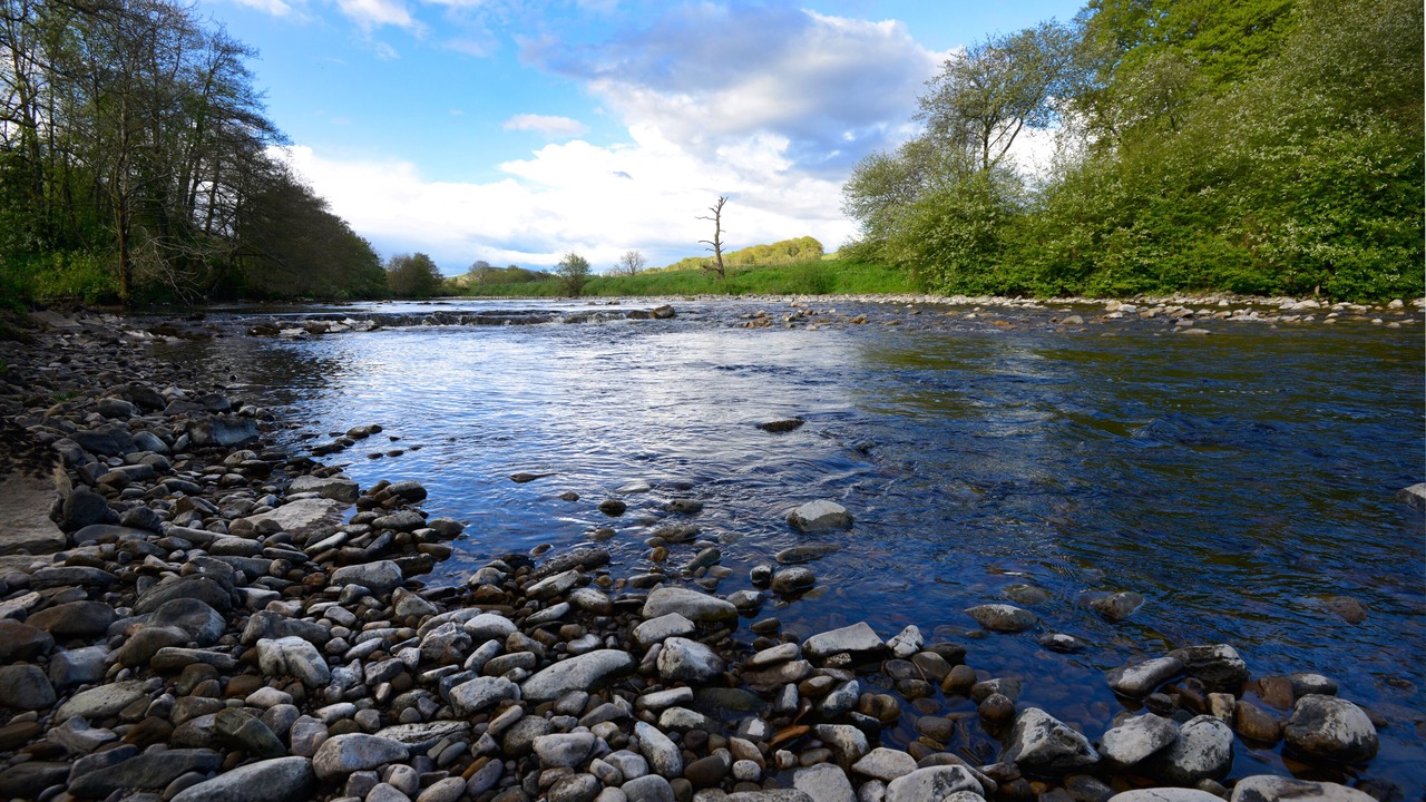 Photo of Outdoor in Newcastleton