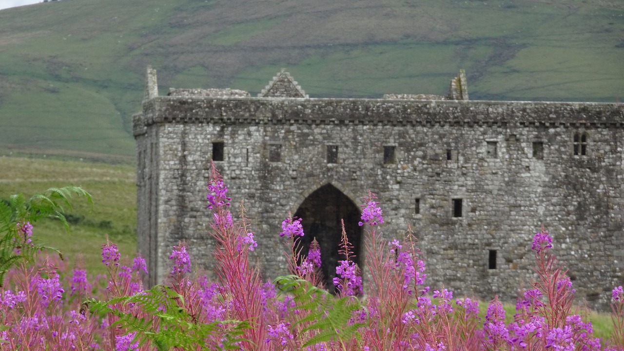 Photo of Others in Newcastleton