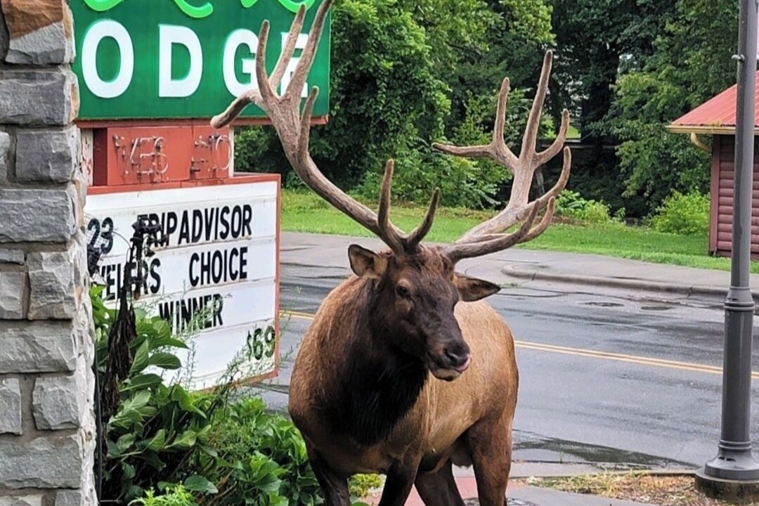Photo of Outdoor in Cherokee