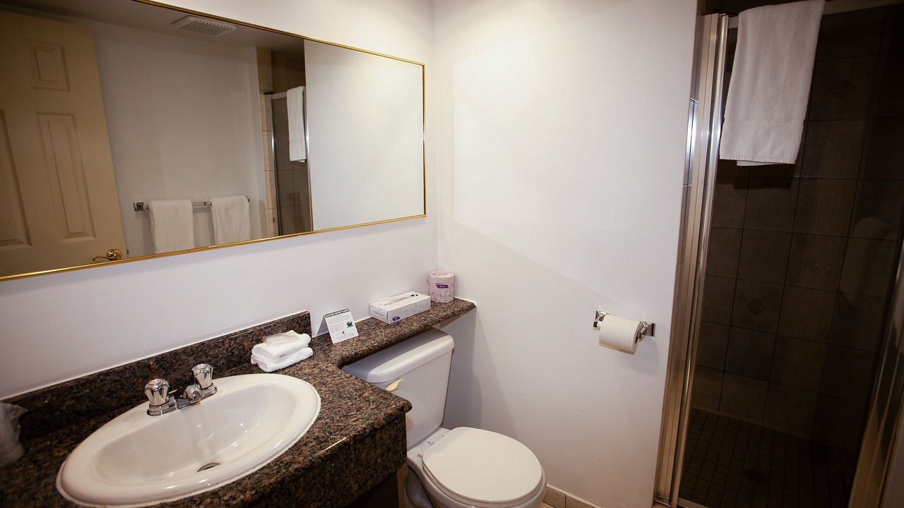 Photo of Bathroom in Saint-Leonard