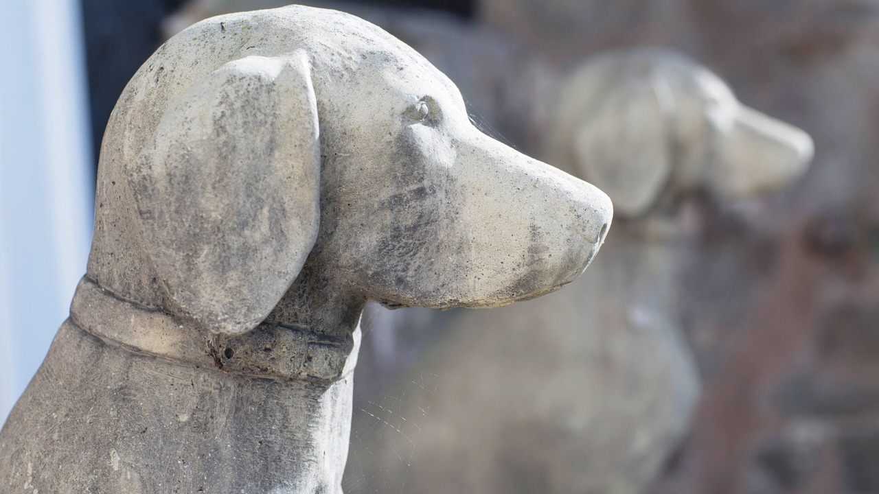 Photo of Outdoor in Walford