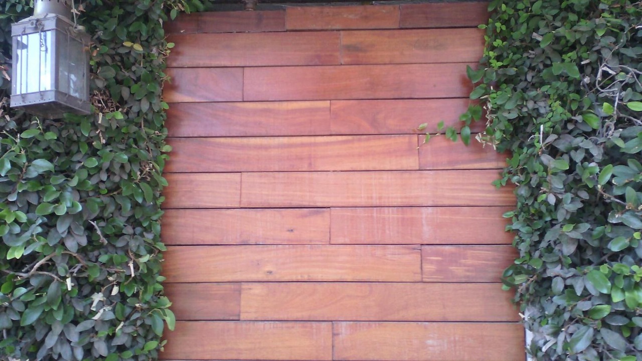 Photo of Outdoor in San Miguel