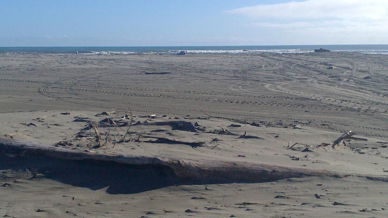 Photo of Others in Otaki