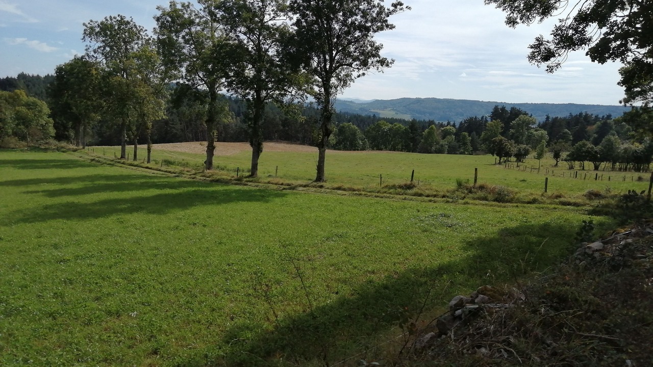 Photo of Outdoor in Saint-Julien-d'Ance