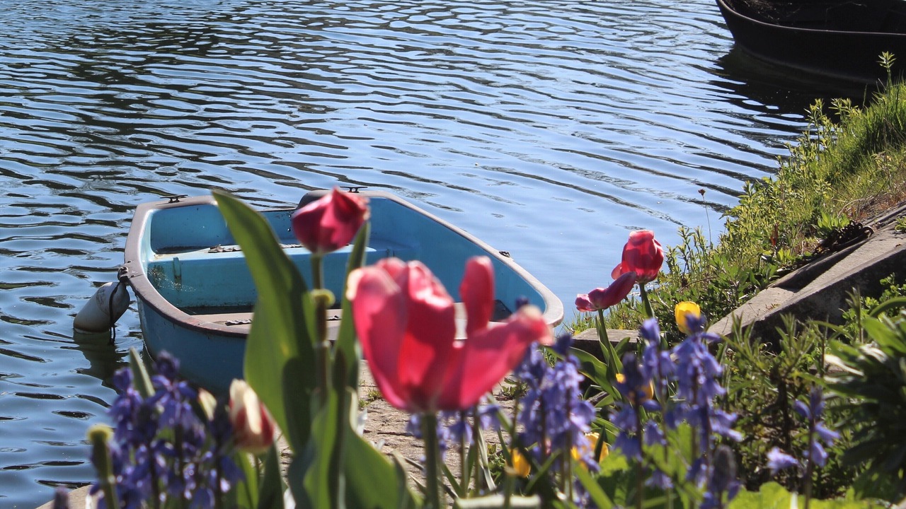 Photo of Others in Coulon