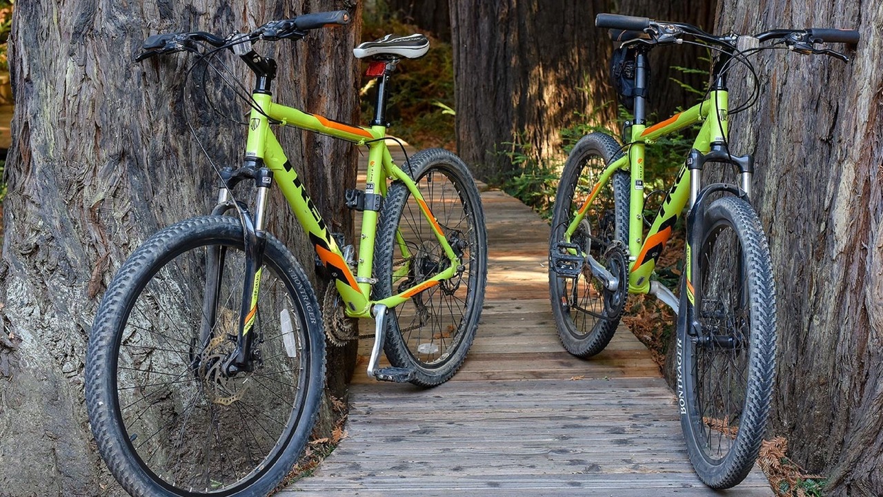 Photo of Outdoor in Mill Valley