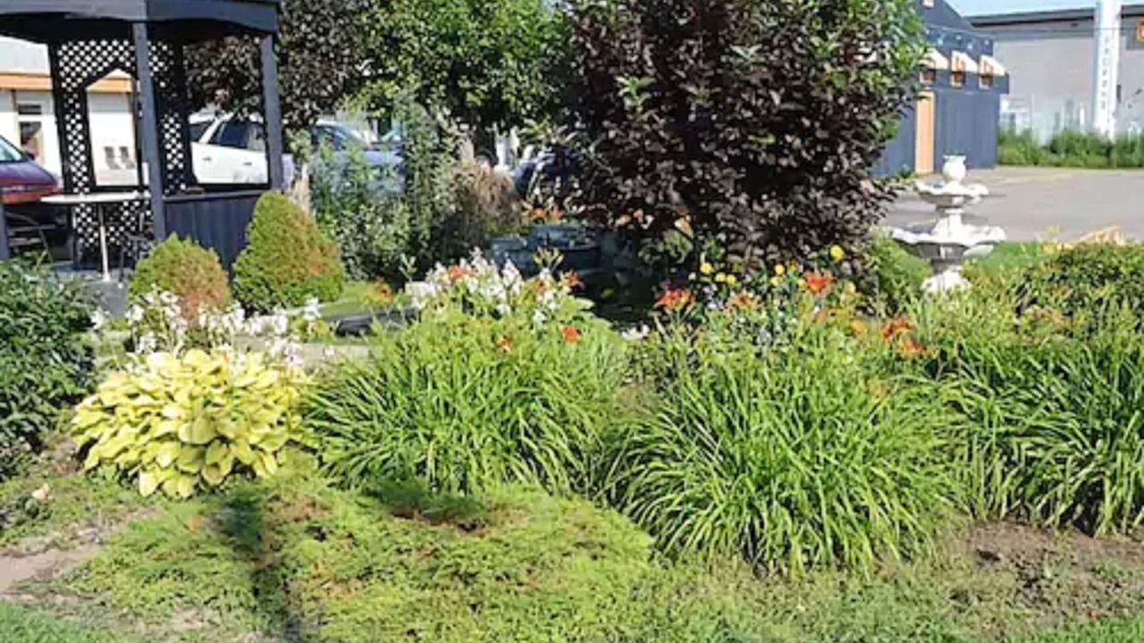 Photo of Outdoor in Roberval