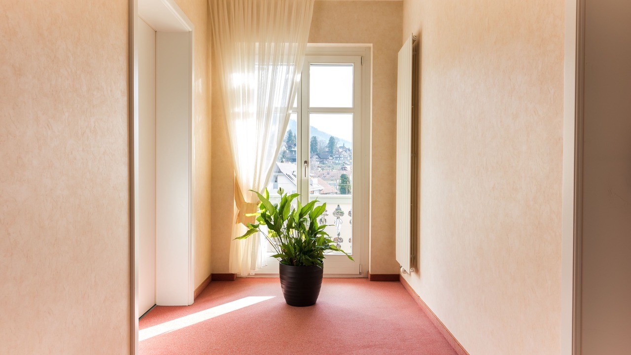 Photo of Others in Hilterfingen