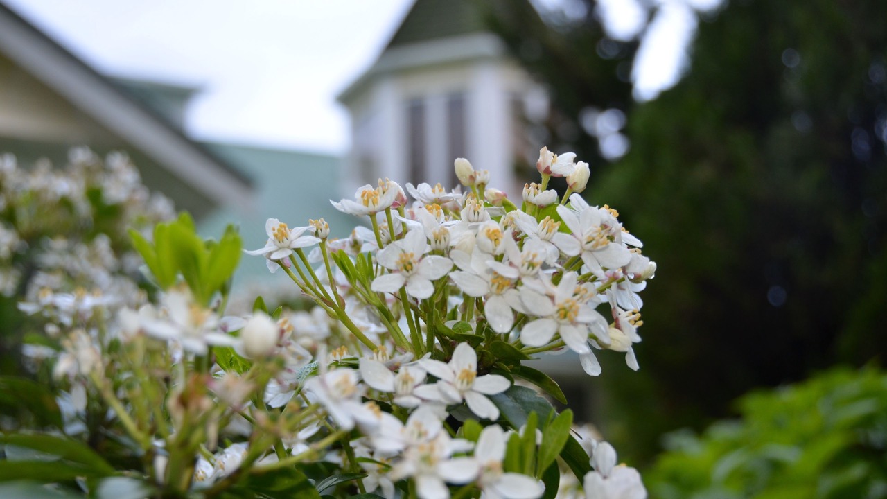 Photo of Outdoor in Rotorua