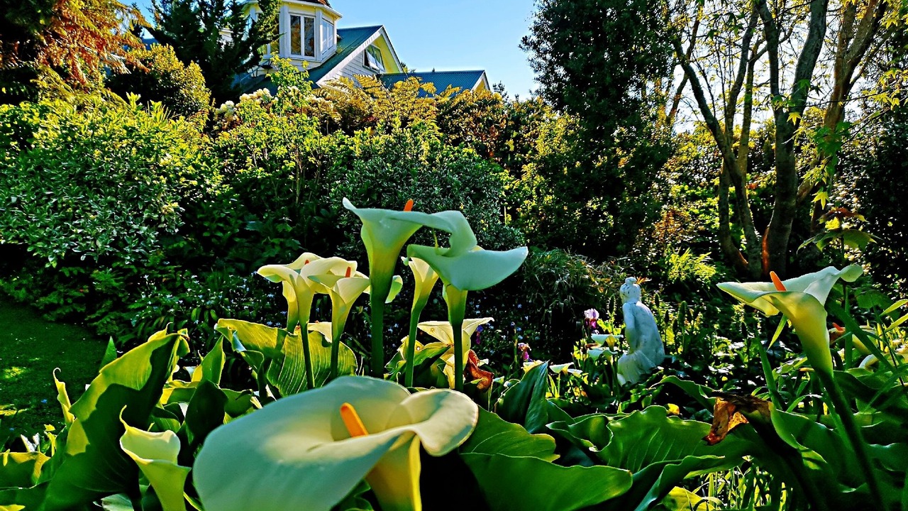 Photo of Outdoor in Rotorua