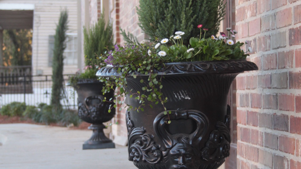 Photo of Outdoor in Downtown Historic