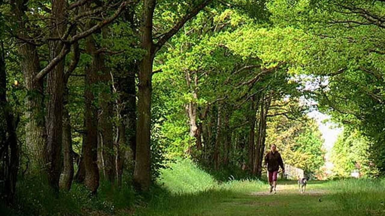 Photo of Outdoor in Thiron-Gardais