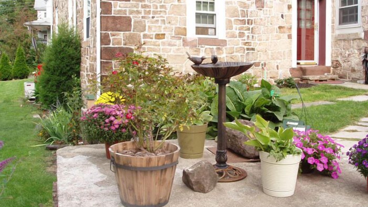 Photo of Outdoor in Stevens