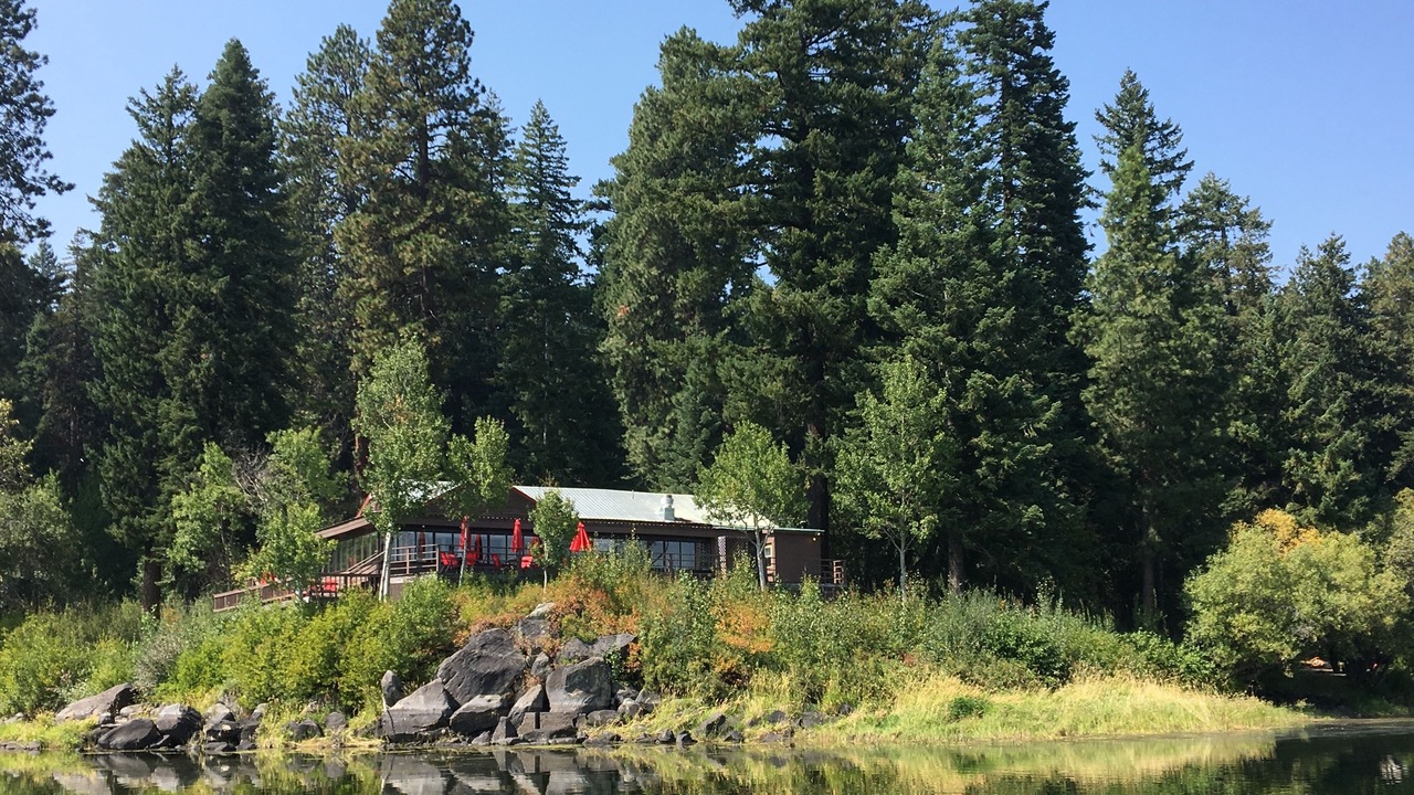 Photo of Others in Rocky Point