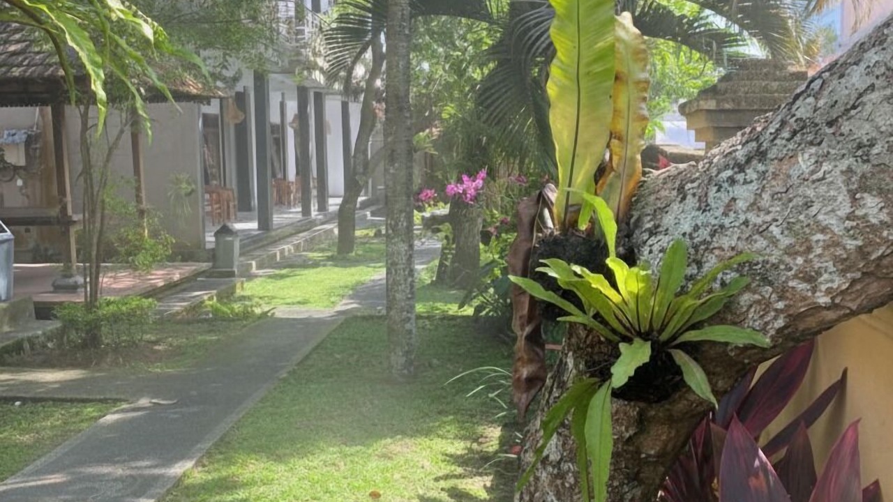 Photo of Outdoor in Gianyar