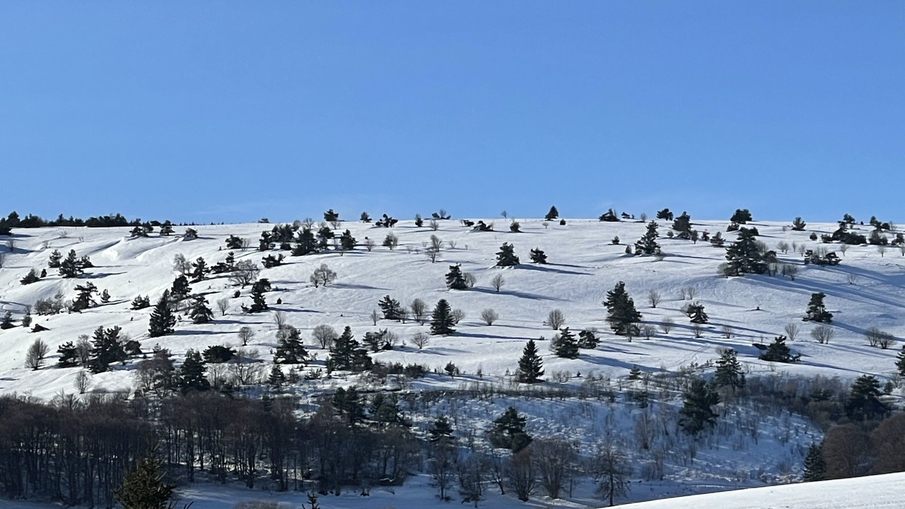 Photo of Outdoor in Saint-Antheme