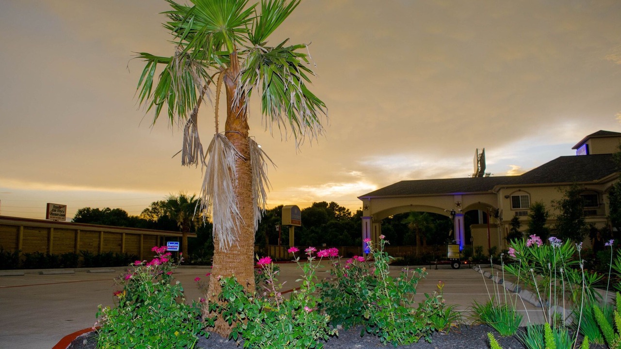 Photo of Outdoor in Willowbrook