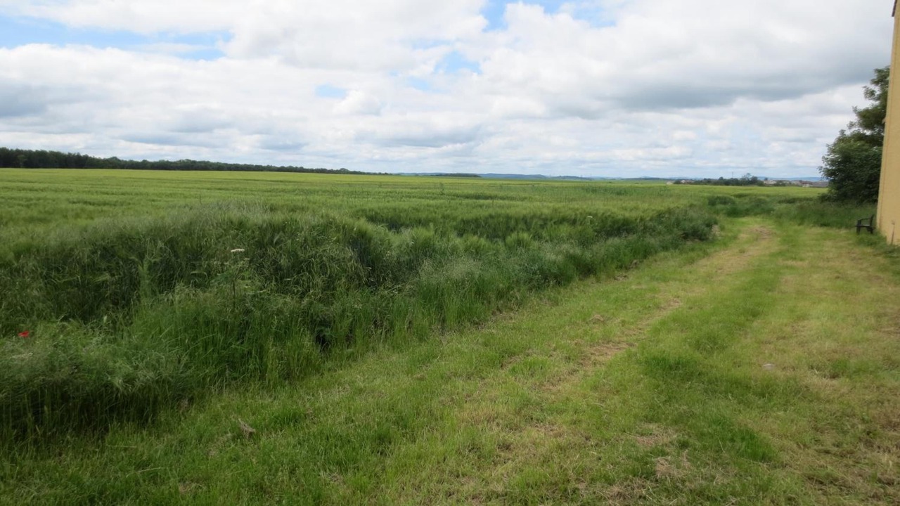 Photo of Outdoor in Silly-sur-Nied