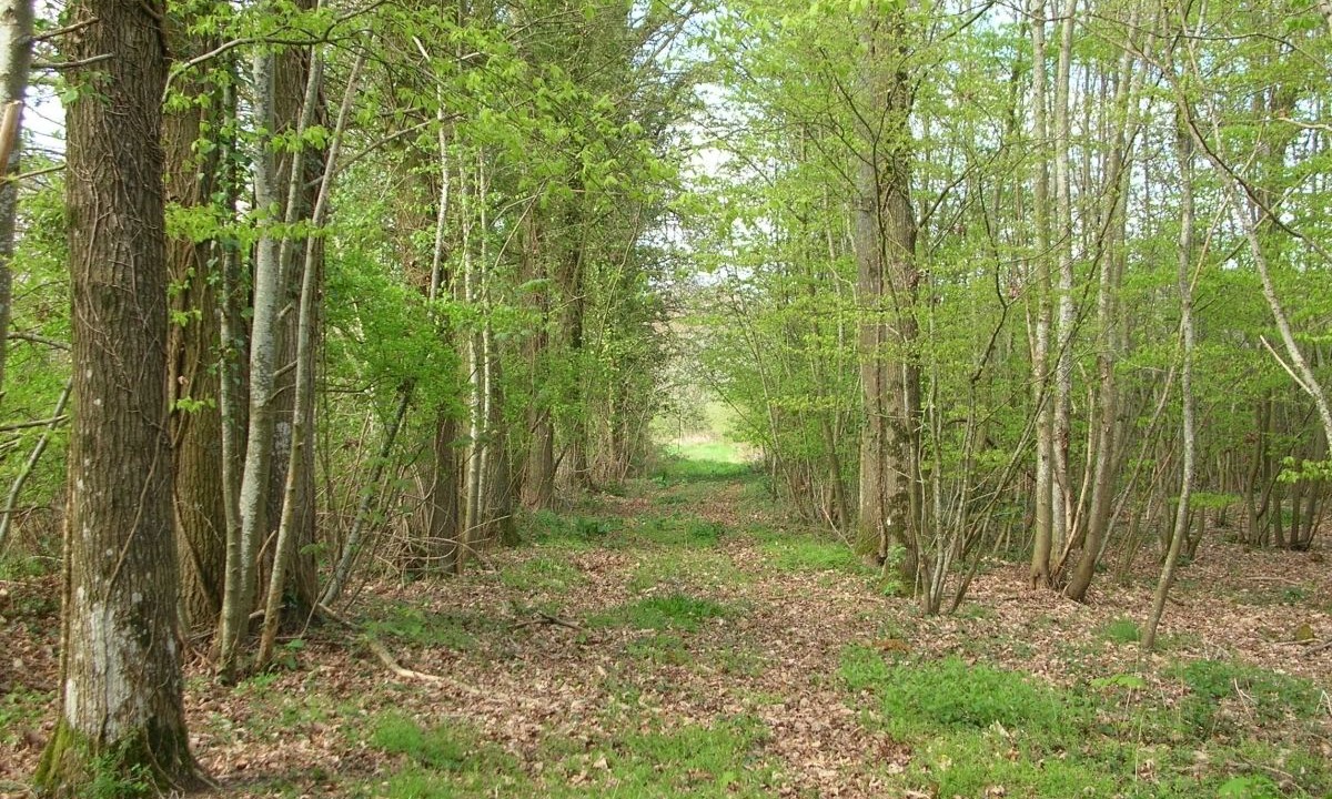 Photo of Outdoor in Saint-Saturnin