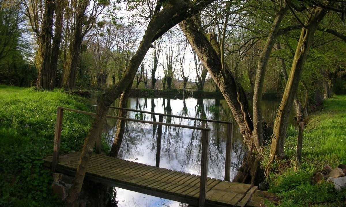Photo of Outdoor in Saint-Saturnin