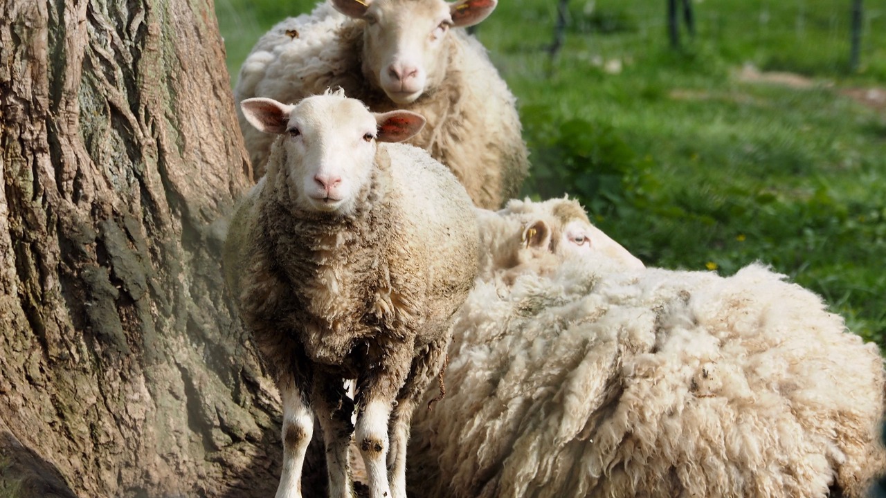 Photo of Outdoor in Autheuil-Authouillet