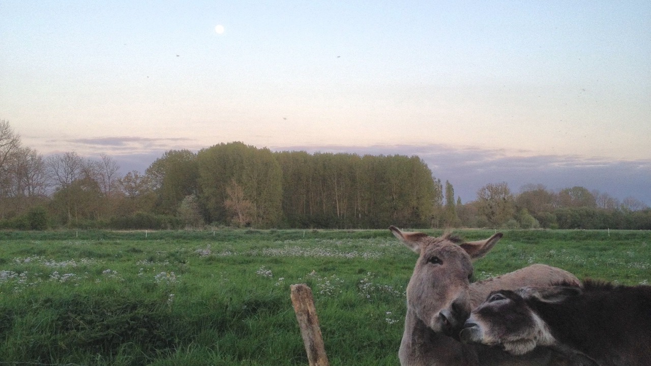 Photo of Outdoor in Autheuil-Authouillet