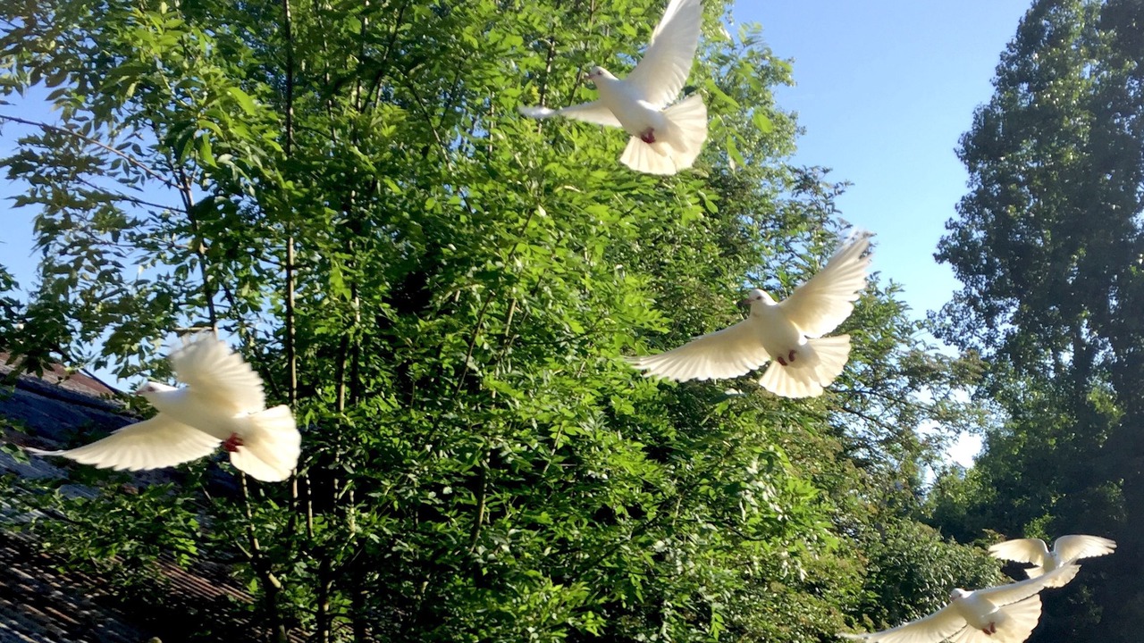 Photo of Outdoor in Autheuil-Authouillet