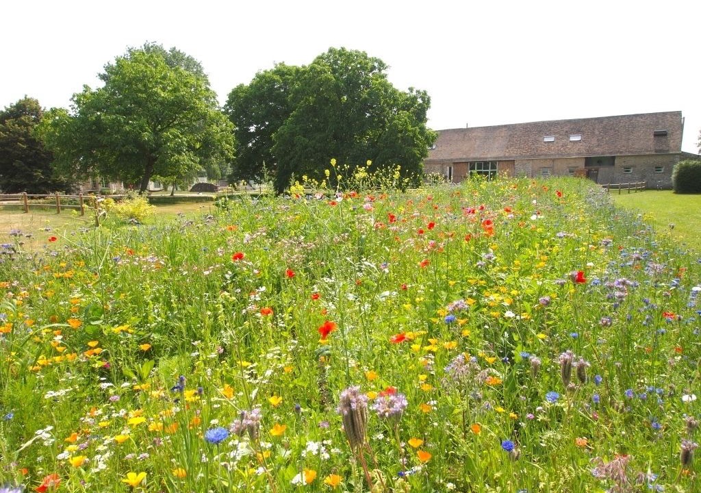 Photo of Outdoor in Autheuil-Authouillet