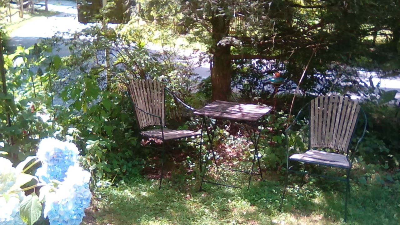 Photo of Outdoor in Rabun Gap