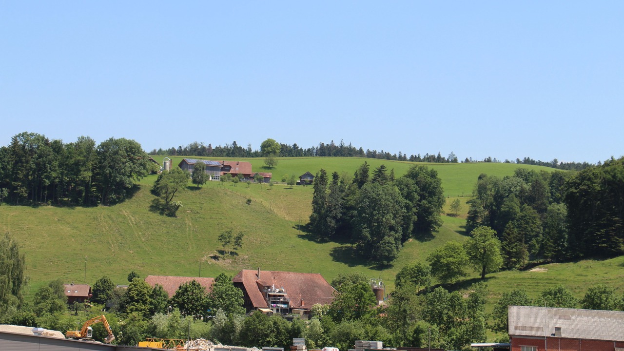 Photo of Others in Willisau Land