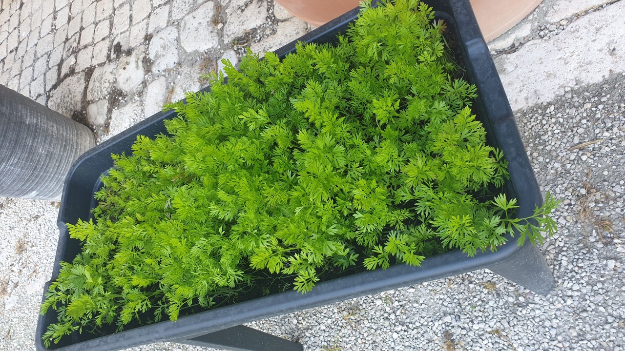 Photo of Outdoor in Saintes Agglomeration