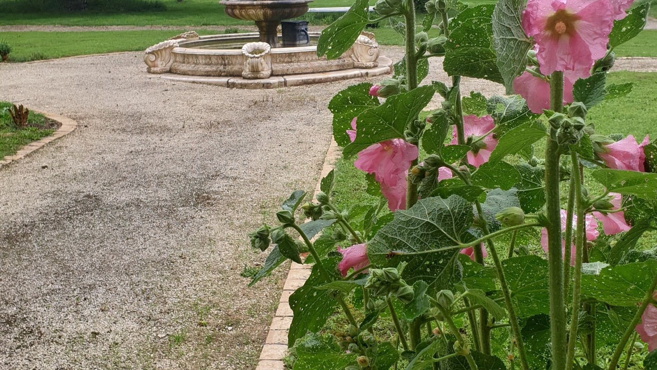 Photo of Outdoor in Saintes Agglomeration