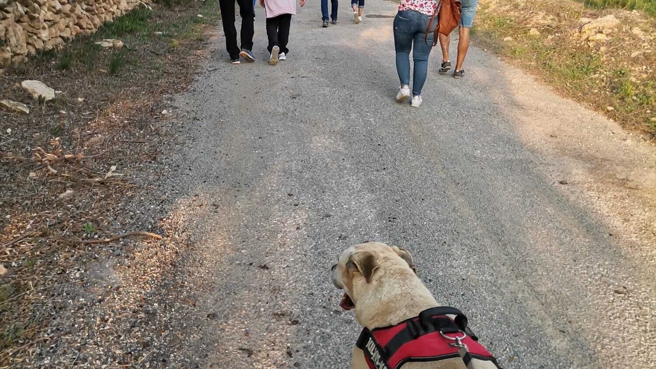 Photo of Others in Rodonya