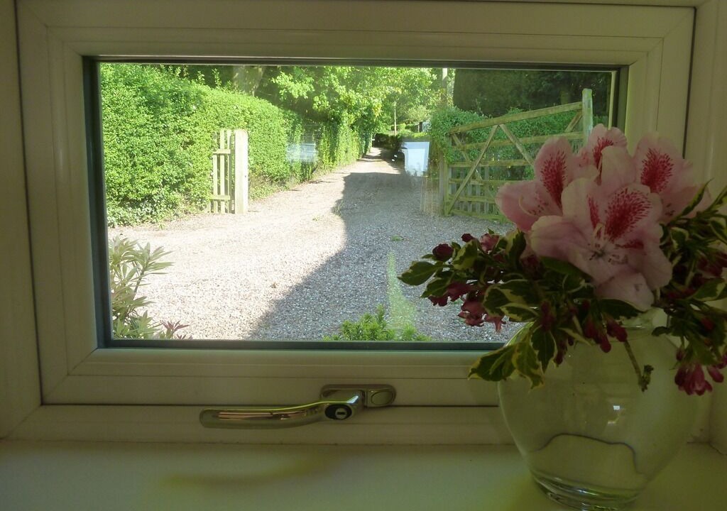 Photo of Others in Hixon