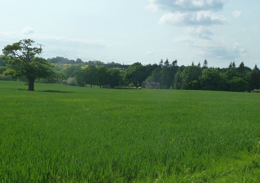 Photo of Outdoor in Hixon