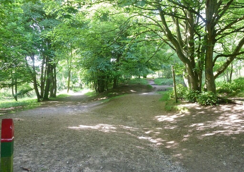 Photo of Others in Hixon