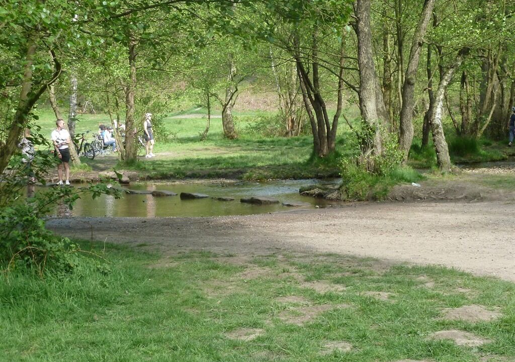 Photo of Others in Hixon