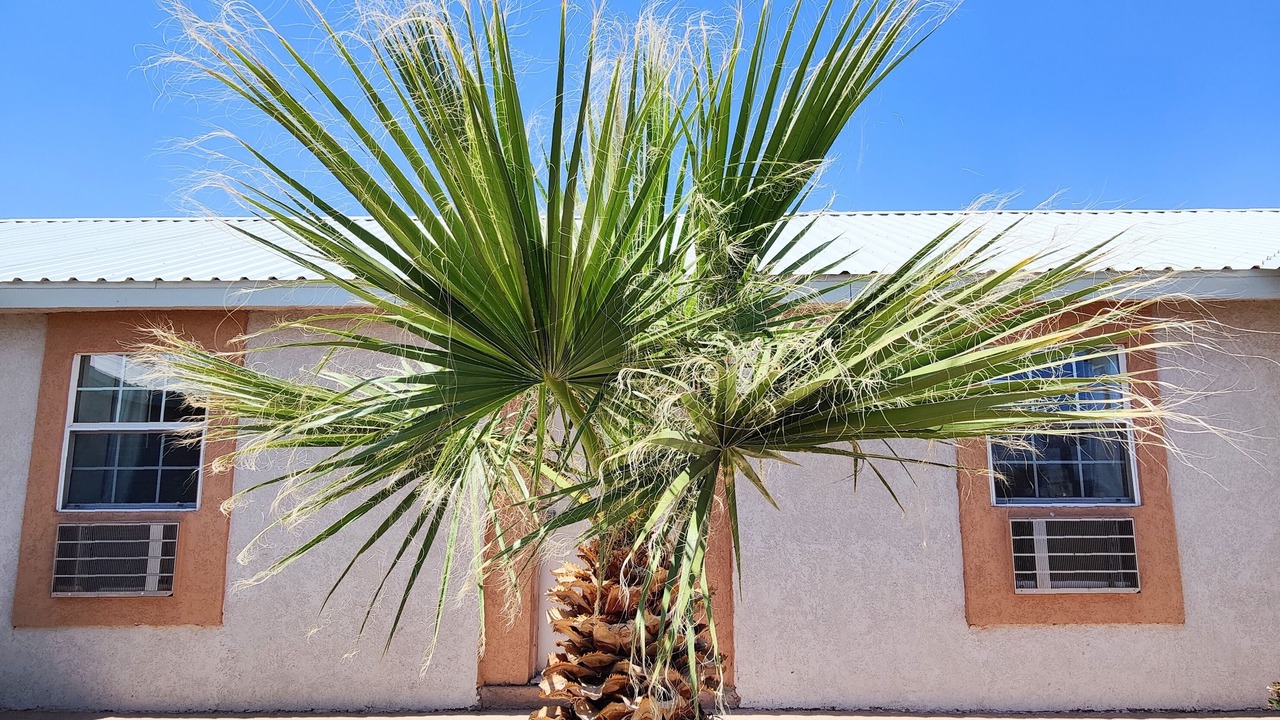 Photo of Outdoor in Van Horn