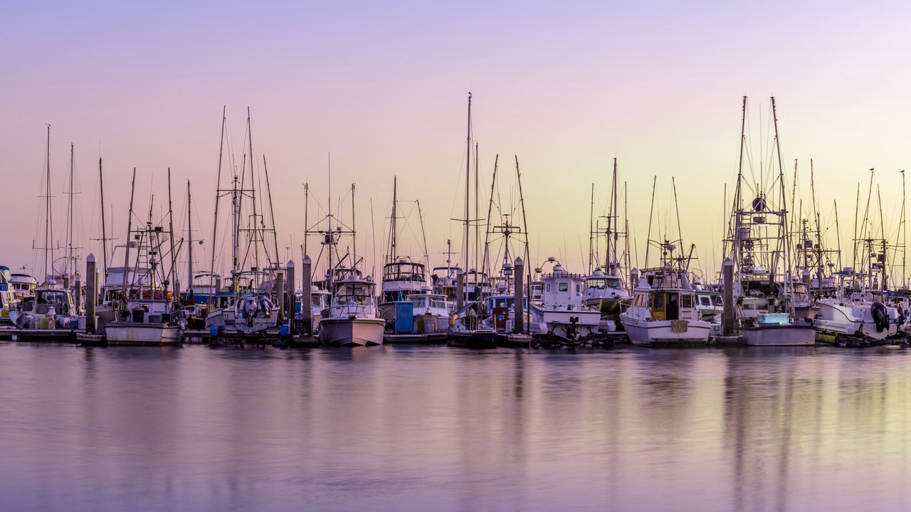 Photo of Others in Half Moon Bay