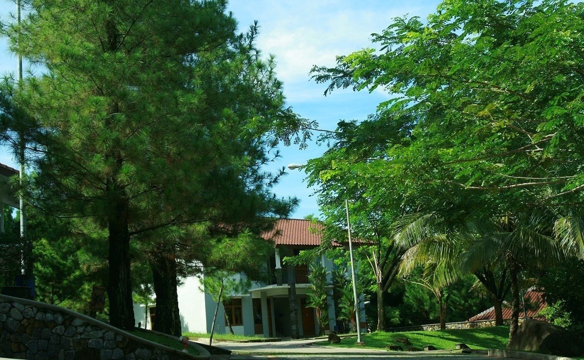 Photo of Others in Citaringgul