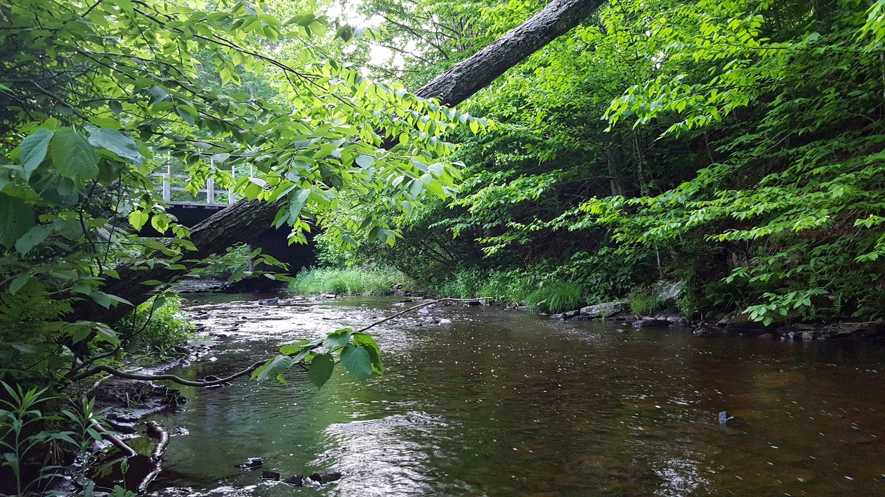 Photo of Outdoor in Redfield