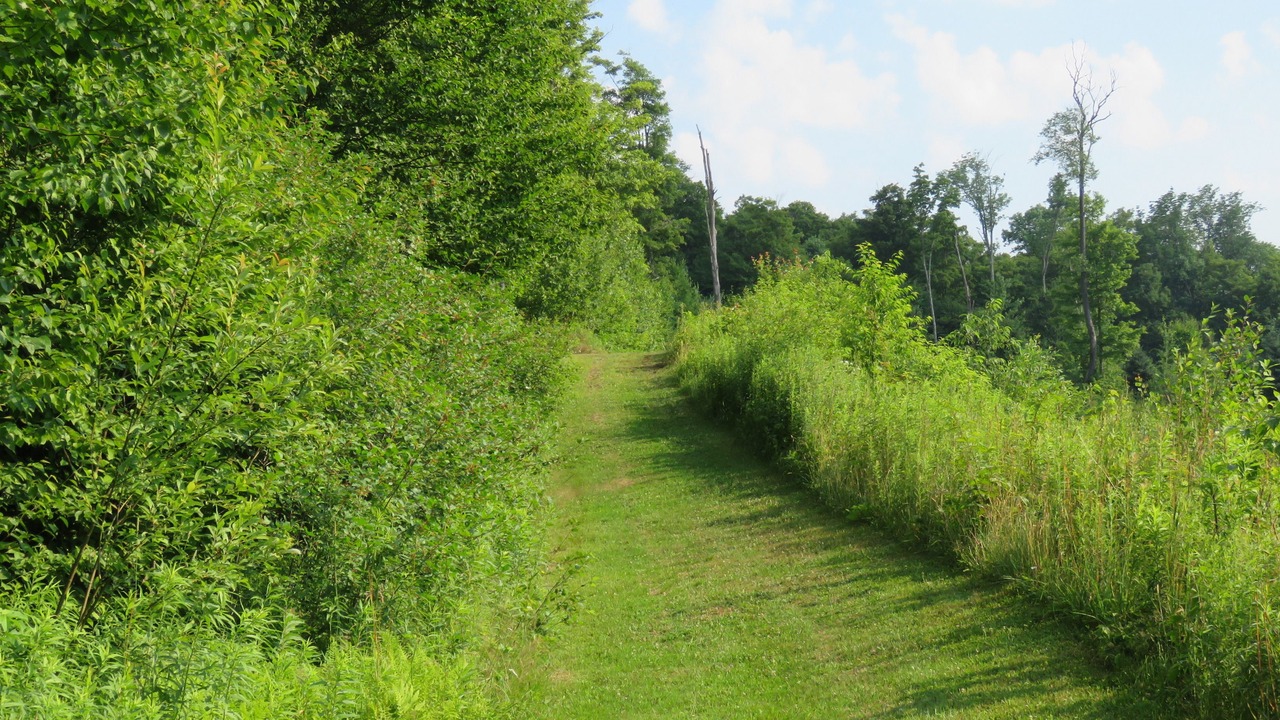 Photo of Outdoor in Redfield