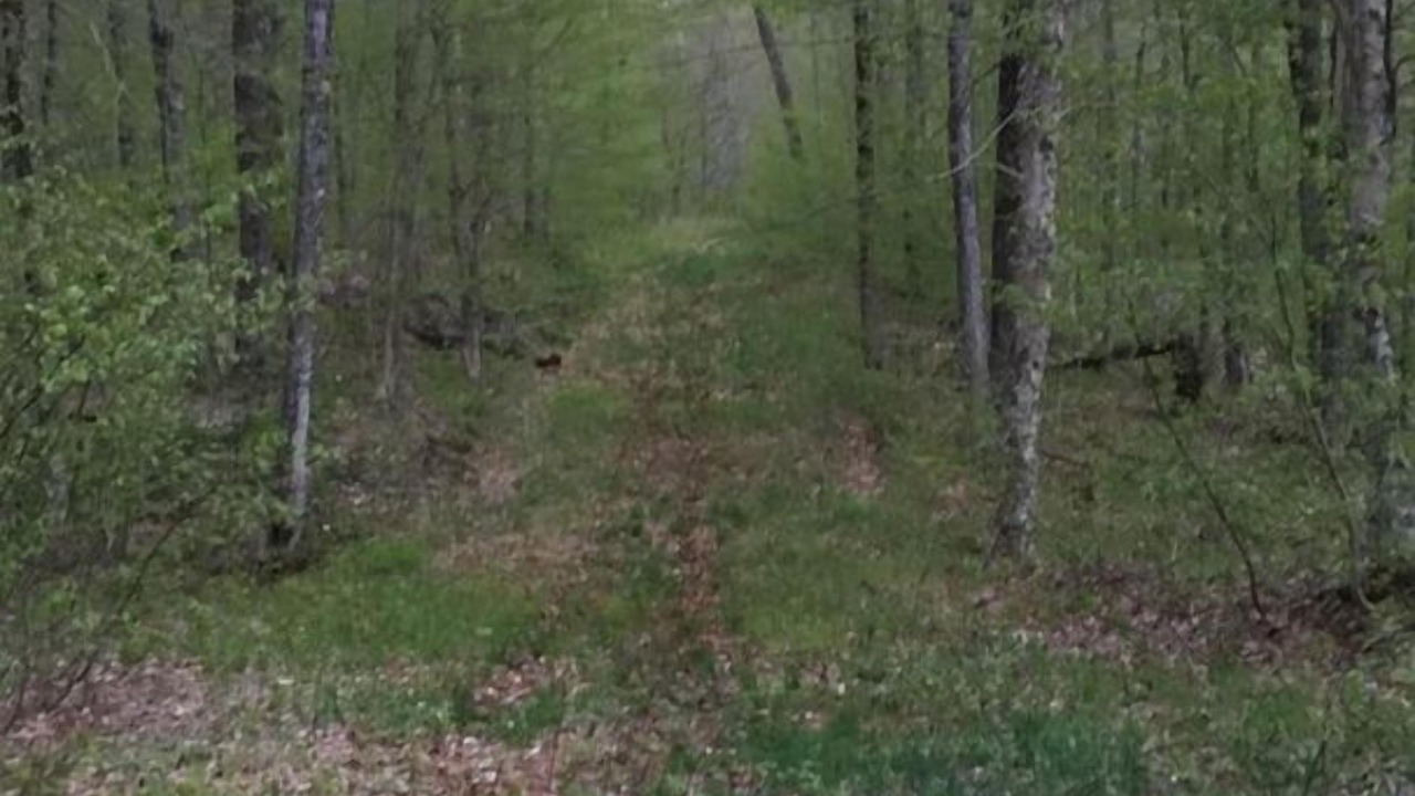 Photo of Outdoor in Redfield