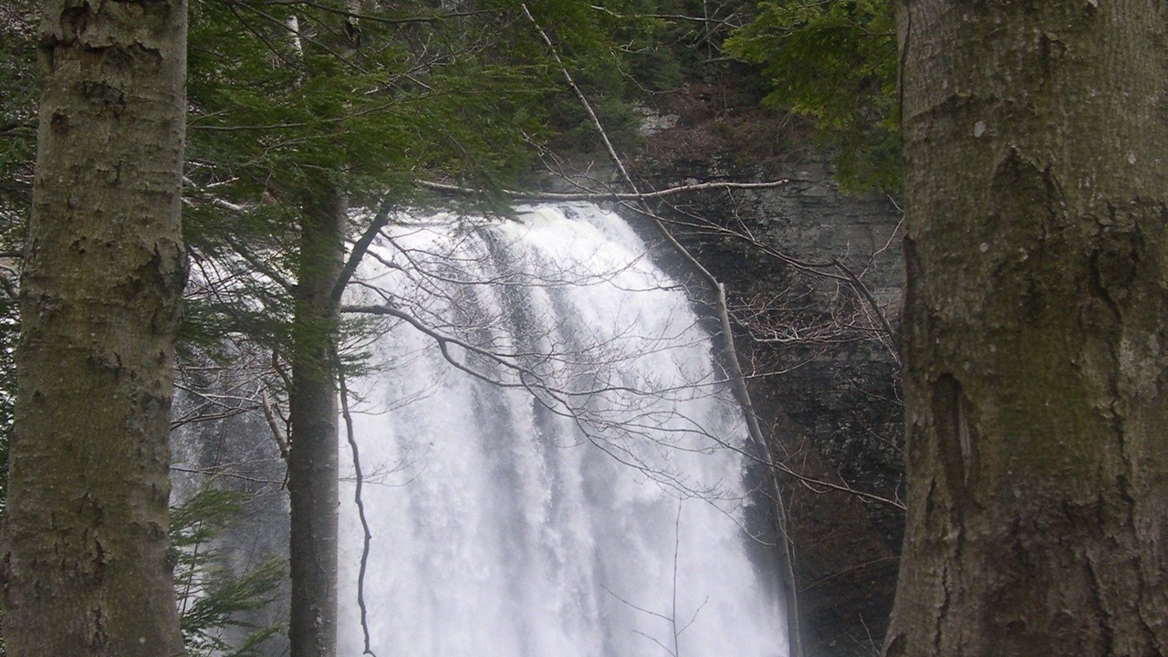 Photo of Others in Redfield