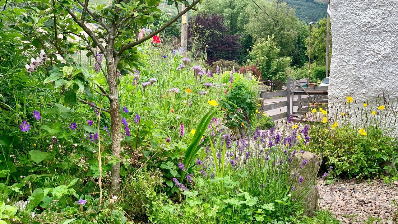 Photo of Bathroom in Lochearnhead