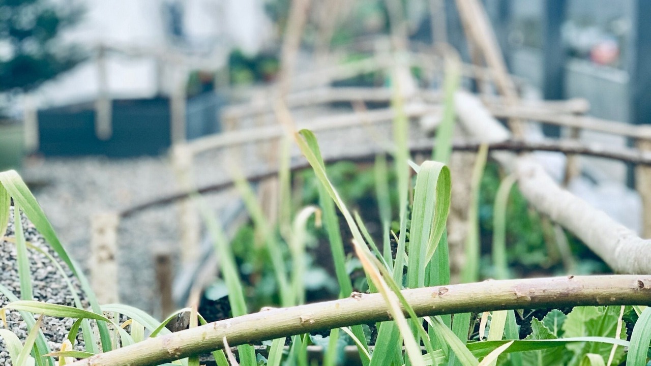 Photo of Outdoor in Lochearnhead