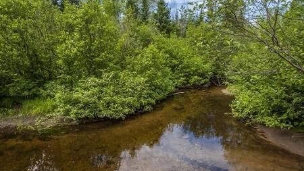 Photo of Outdoor in Saint-Tite-des-Caps