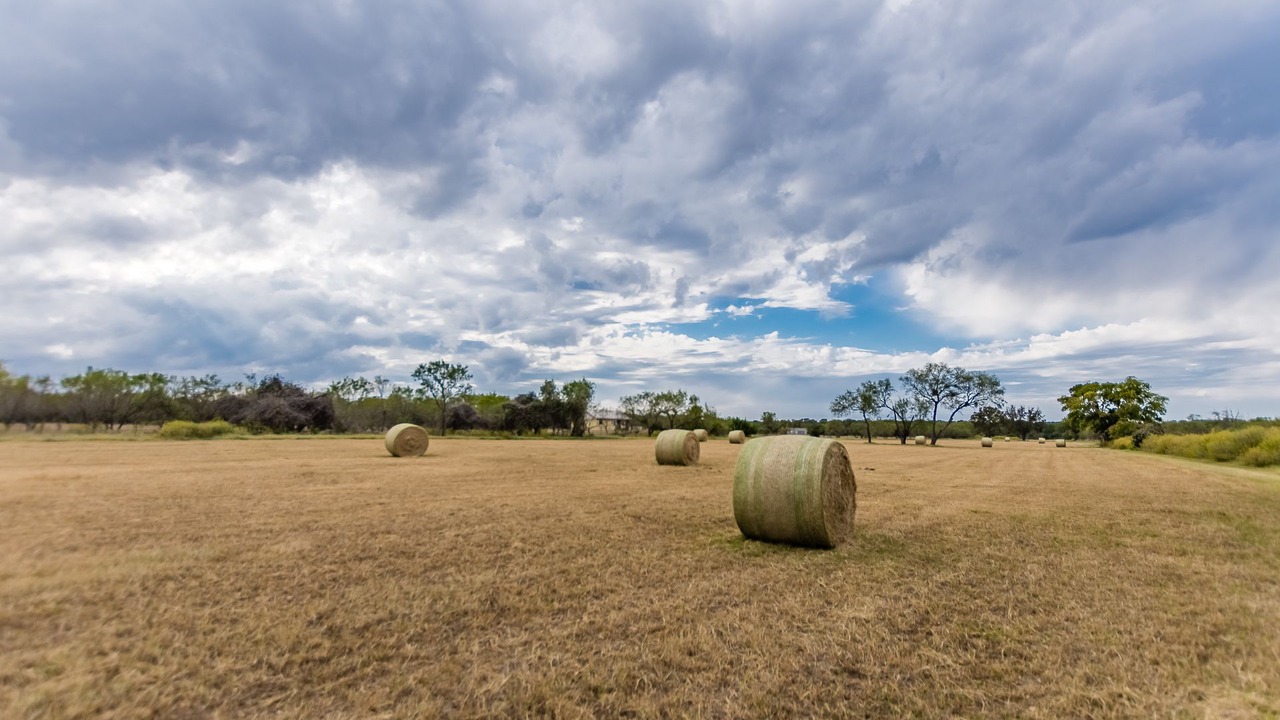 Photo of Outdoor in Fredericksburg