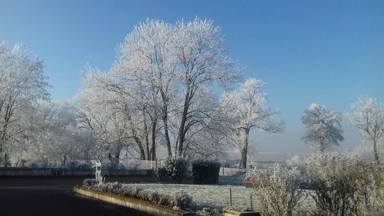 Photo of Outdoor in Allain