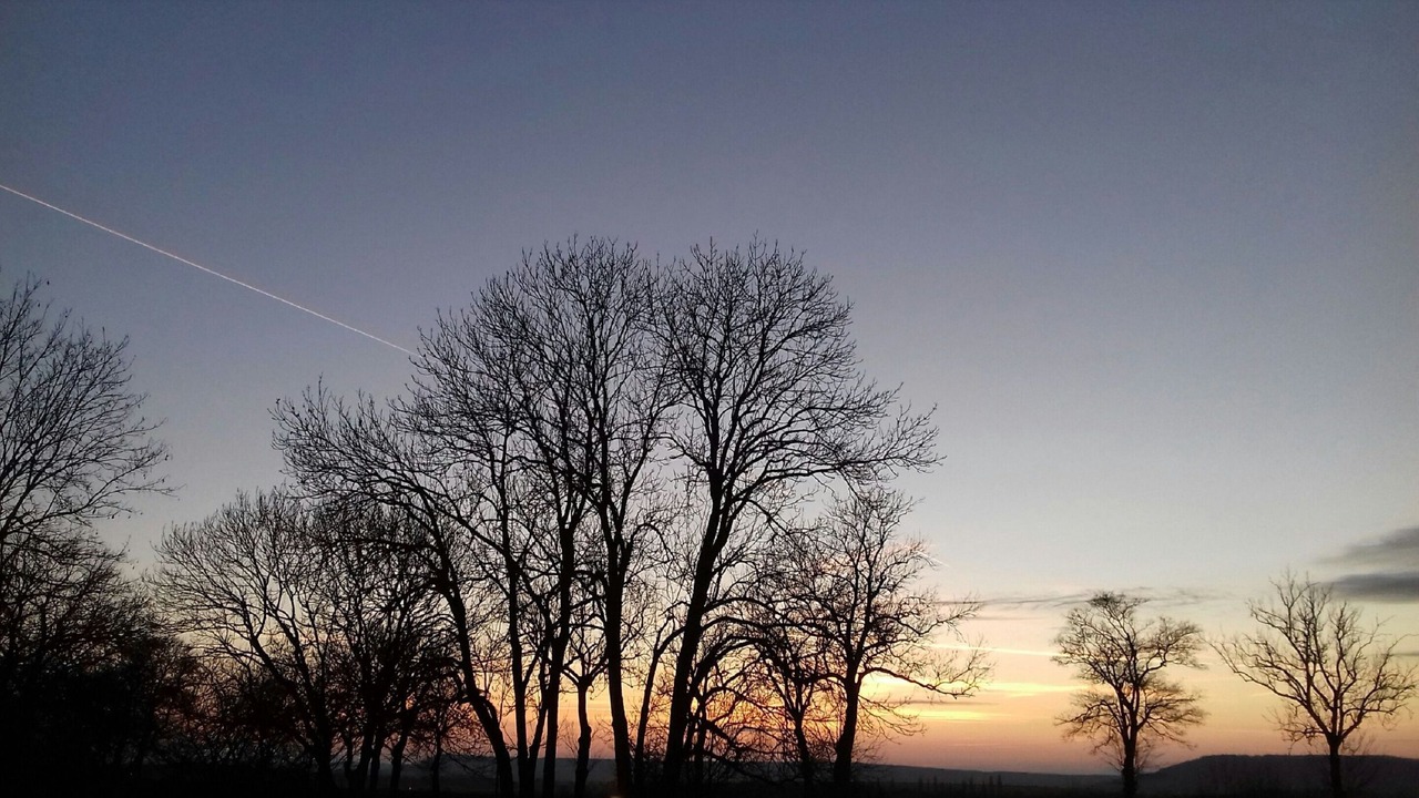 Photo of Others in Allain